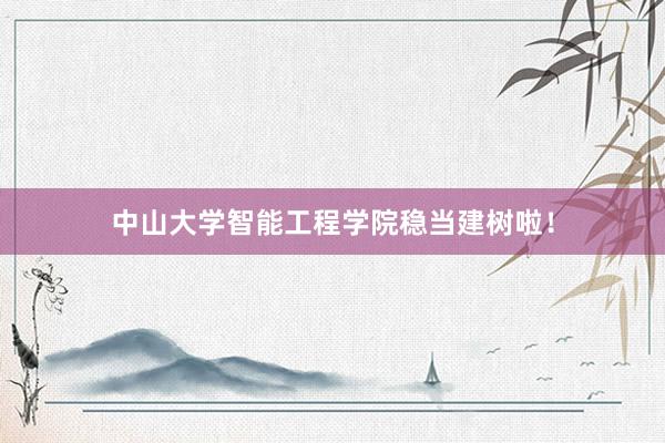 中山大学智能工程学院稳当建树啦！