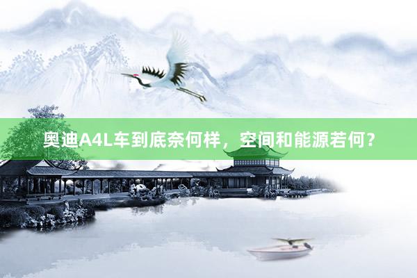 奥迪A4L车到底奈何样，空间和能源若何？