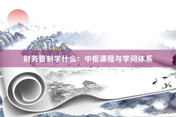 财务管制学什么：中枢课程与学问体系